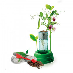 BOTANIQUE ET HYDROPONIE