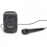 Luminous Speaker Karaoké