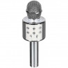 ENCEINTE MICRO KARAOKE 3W – CMP