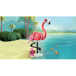 31170 Animaux sauvages : le flaman