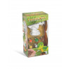 Figurine a peindre Dinosaure