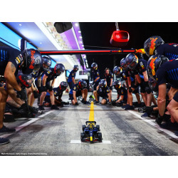 42206 F1 Oracle Red Bull Racing RB20 V29