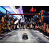 42206 F1 Oracle Red Bull Racing RB20 V29