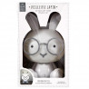 LAMPE LED TABLE LAPIN M6