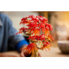 Lego Bonzai d’érable rouge du Japon