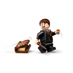 Lego Harry Potter 76449 Le monstrueux livre des monstres