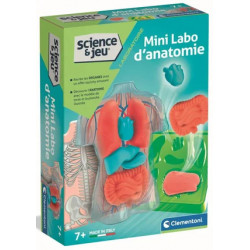 Clementoni Mini Labo d'anatomie