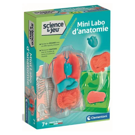 Clementoni Mini Labo d'anatomie