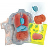 Clementoni Mini Labo d'anatomie