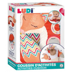 Ludi coussin activitées Renard