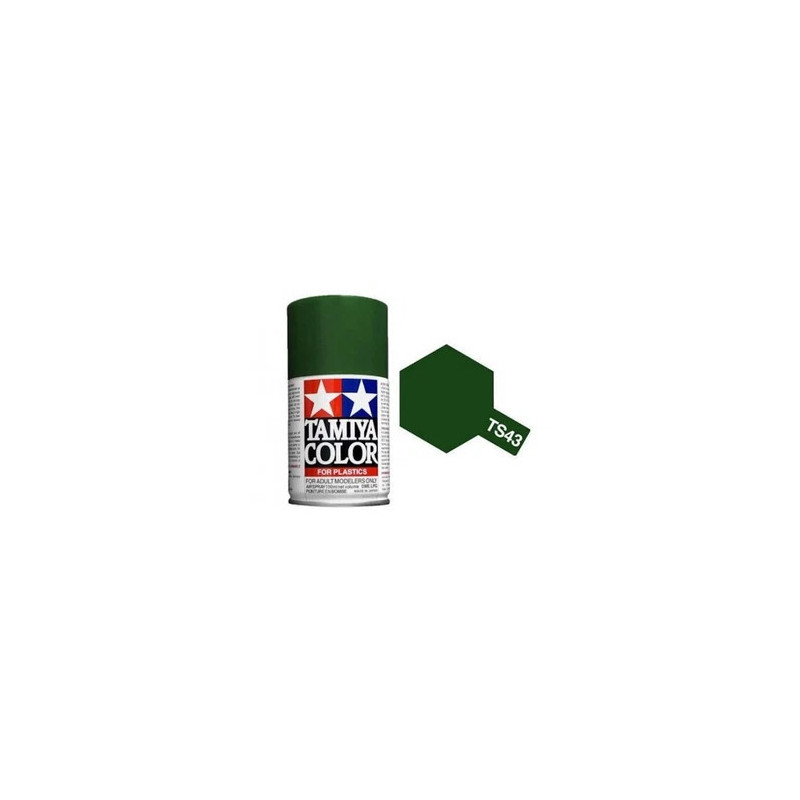 Bombre peinture Tamiya ts 43