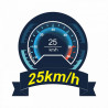 Bateau Joysway Mad Shark V3 f1 Electric