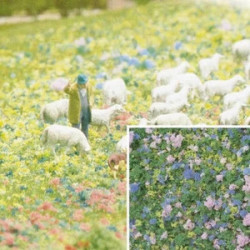 Busch décor Ass fleurs