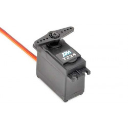 Lot Racer 3s comprenant radio, servo Aq et chargeur Lipo 4200