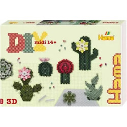 Hama Coffret de perles cactus Art