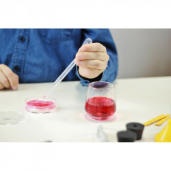 Buki Chimie 150 Experiences sans danger