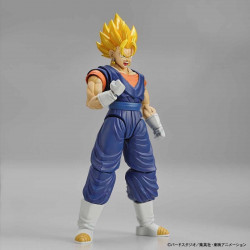 Maquette Vegetto