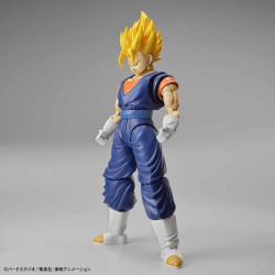 Maquette Vegetto