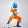 Bandai Maquette Dbz San goku
