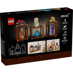 Lego 21362 Collection de minéraux V29