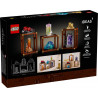 Lego 21362 Collection de minéraux V29