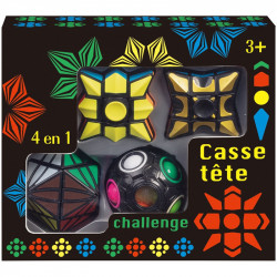 Casse tete Challenge 4 en 1