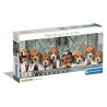 PUZZLE COMPACT 1000 PIECES PANORAMA - BEAGLES