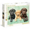 PUZZLE 1000 PCES THREE LABS