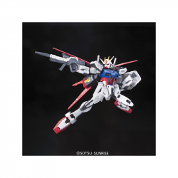 Bandai Gundam Aile Strike OMNIEN Forcer GAT X 100