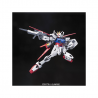 Bandai Gundam Aile Strike OMNIEN Forcer GAT X 100