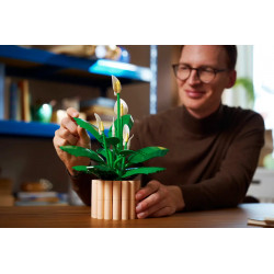 Lego 11504 Les fleurs de lune V29