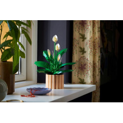 Lego 11504 Les fleurs de lune V29