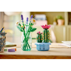 Lego 11509 Cactus fleuri, Botanicals