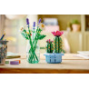 Lego 11509 Cactus fleuri, Botanicals