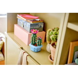 Lego 11509 Cactus fleuri, Botanicals