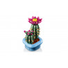 Lego 11509 Cactus fleuri, Botanicals