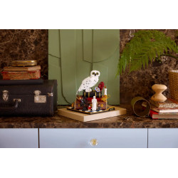 Lego Harry Potter L’école des sorciers édition Collector 76466