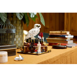 Lego Harry Potter L’école des sorciers édition Collector 76466