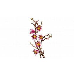 Lego 11510 Branches de magnolia V29