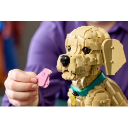 Lego11384 Le chiot Golden Retriever V29