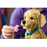Lego11384 Le chiot Golden Retriever V29