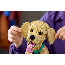 Lego11384 Le chiot Golden Retriever V29