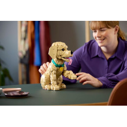 Lego11384 Le chiot Golden Retriever V29