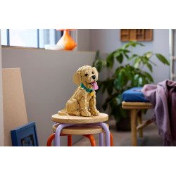 Lego11384 Le chiot Golden Retriever V29