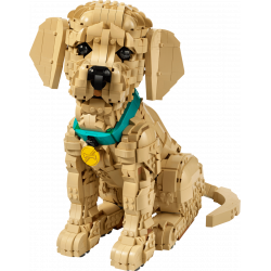 Lego11384 Le chiot Golden Retriever V29
