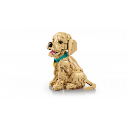 Lego11384 Le chiot Golden Retriever V29