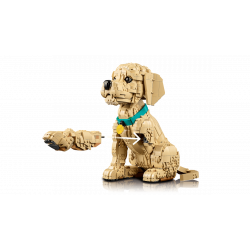 Lego11384 Le chiot Golden Retriever V29