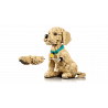 Lego11384 Le chiot Golden Retriever V29