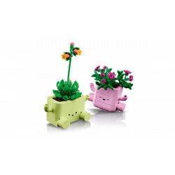 Lego 11506 Les petites plantes dansantes