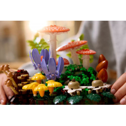 Lego 11505 Les champignons des bois
